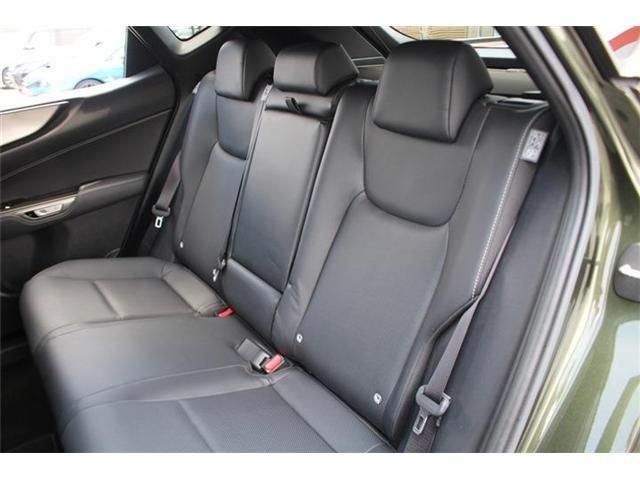 LEXUS NX450h+ AWD