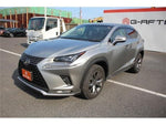 LEXUS NX300h