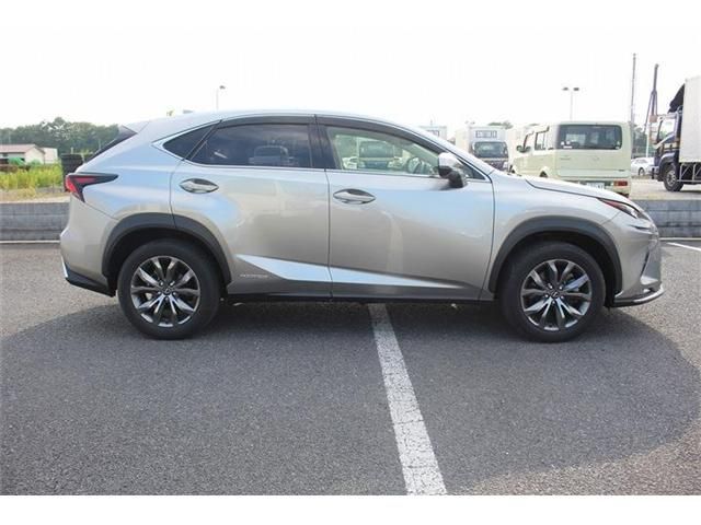 LEXUS NX300h