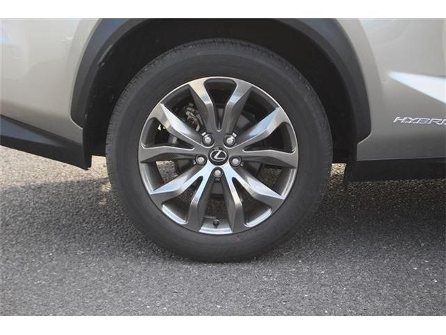 LEXUS NX300h