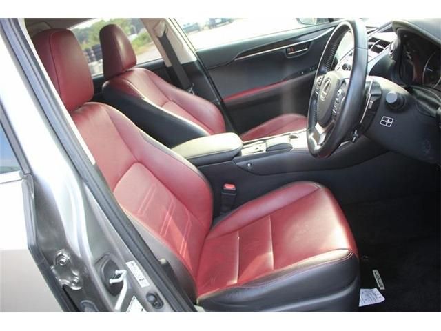 LEXUS NX300h
