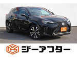 LEXUS UX250h