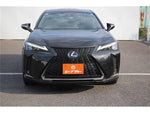 LEXUS UX250h