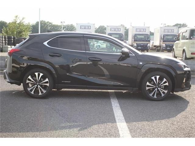 LEXUS UX250h