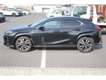 LEXUS UX250h