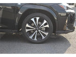 LEXUS UX250h
