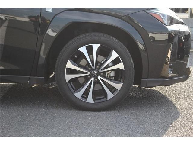 LEXUS UX250h