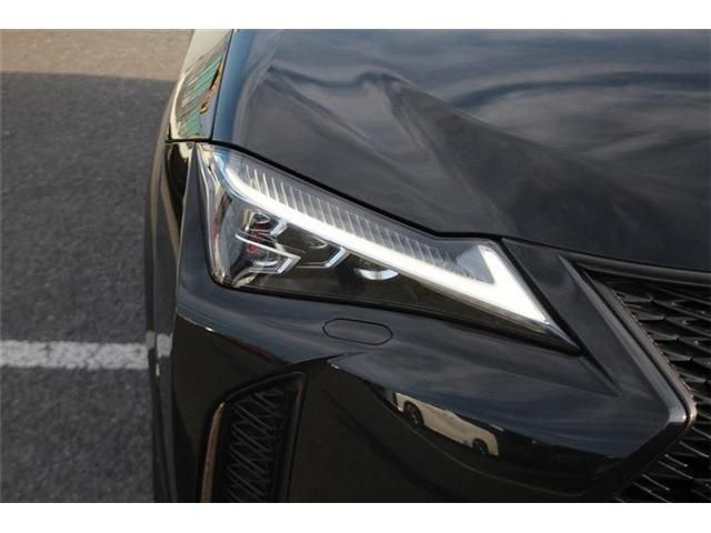 LEXUS UX250h