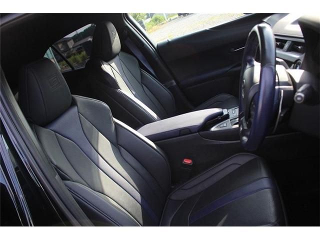 LEXUS UX250h