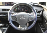 LEXUS UX250h