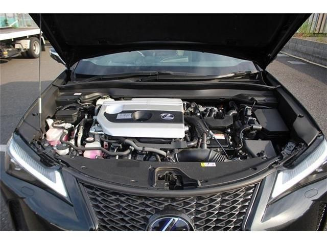 LEXUS UX250h