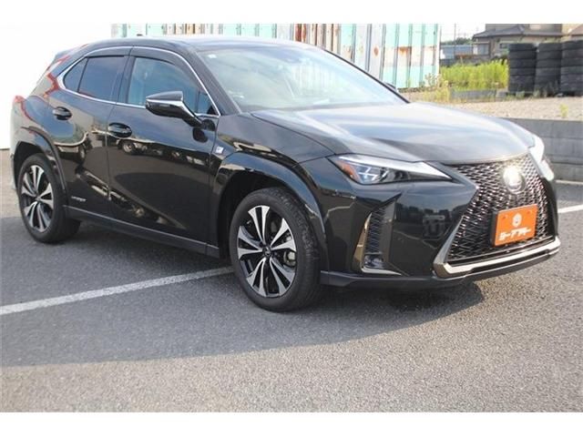 LEXUS UX250h