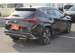 LEXUS UX250h