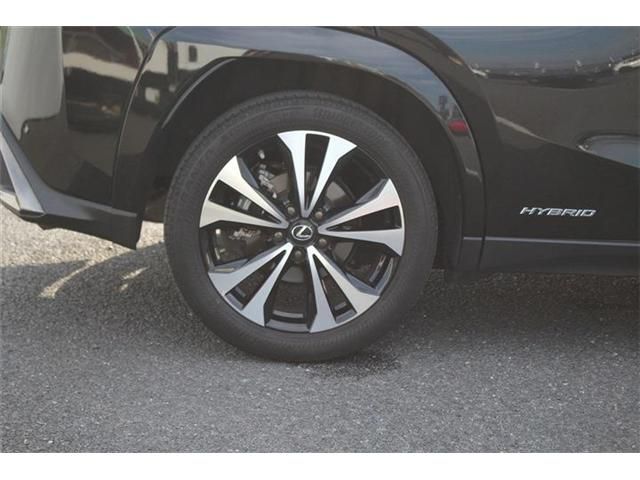 LEXUS UX250h