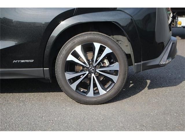LEXUS UX250h