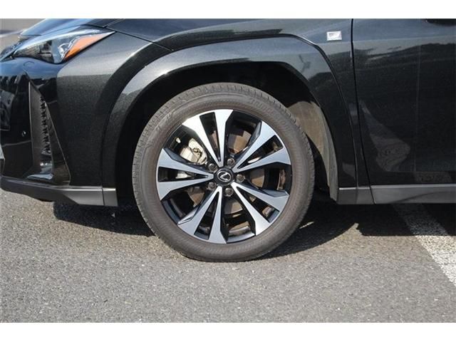 LEXUS UX250h