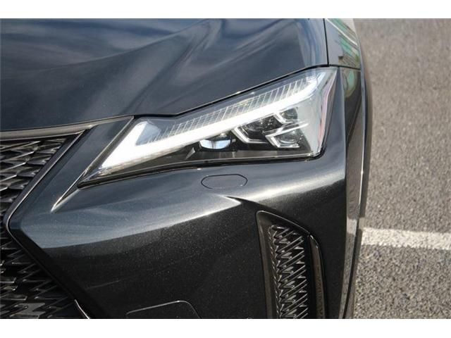 LEXUS UX250h