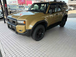 LANDCRUISER 250