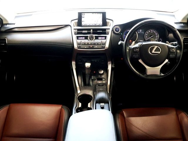 LEXUS NX300h