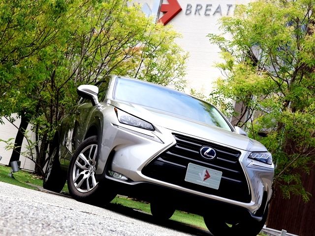 LEXUS NX300h