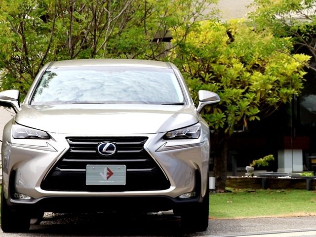 LEXUS NX300h