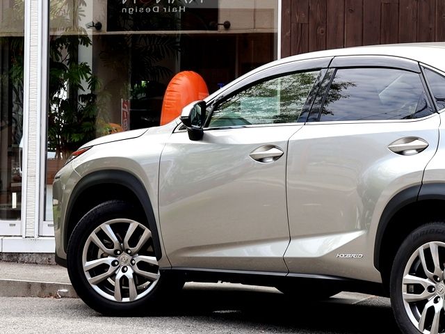LEXUS NX300h