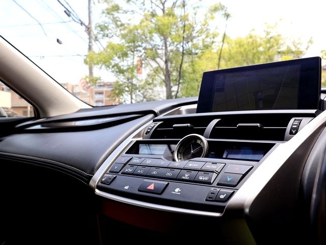 LEXUS NX300h