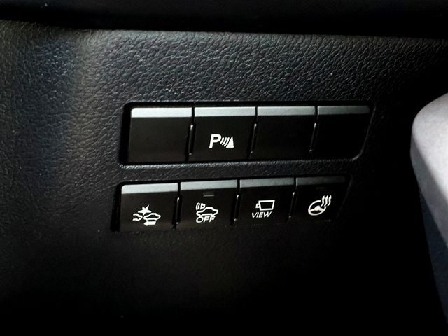 LEXUS NX300h
