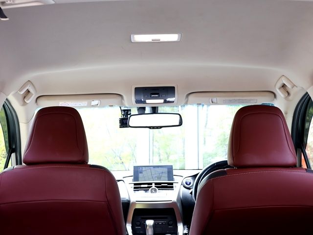 LEXUS NX300h