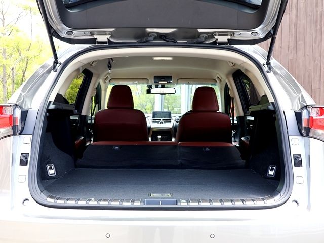 LEXUS NX300h