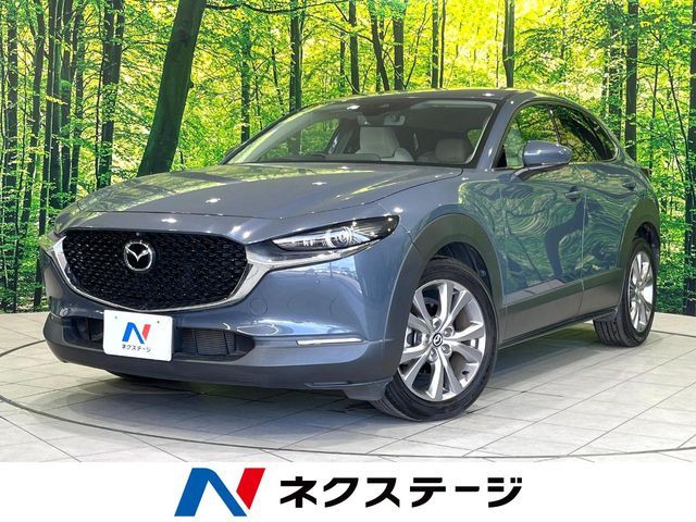 CX-30