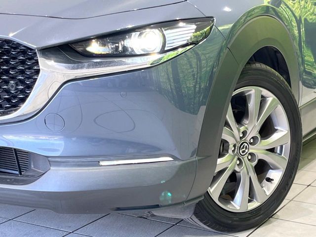 CX-30
