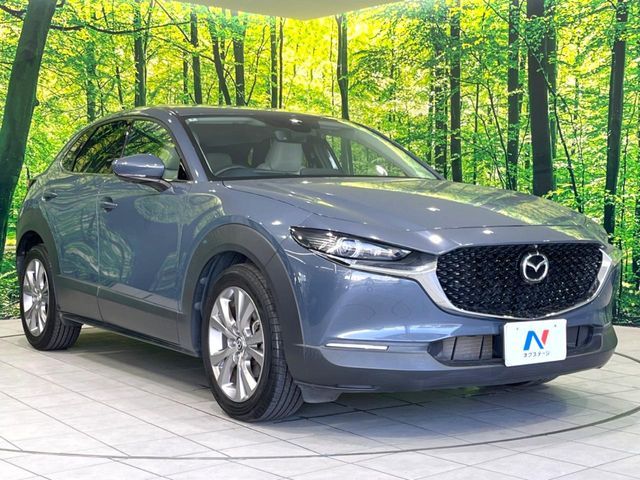 CX-30