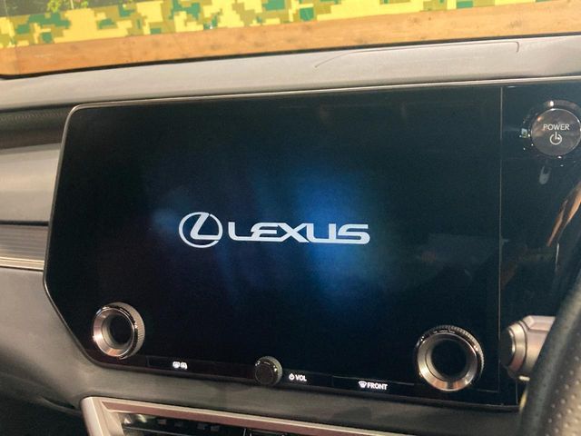 LEXUS RX500h