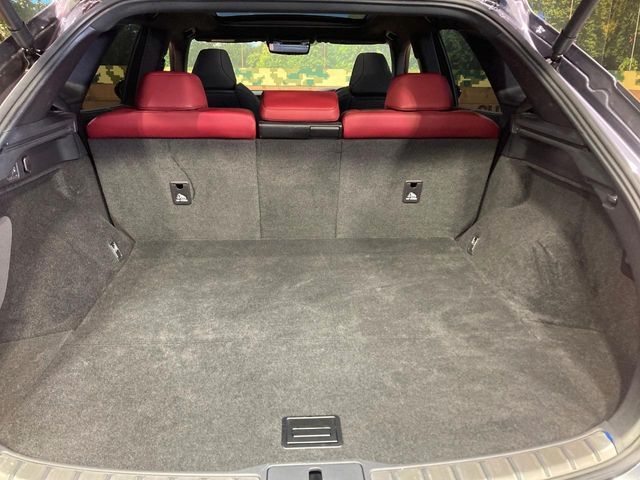 LEXUS RX500h