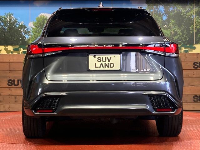 LEXUS RX500h