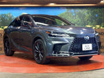 LEXUS RX500h