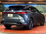 LEXUS RX500h