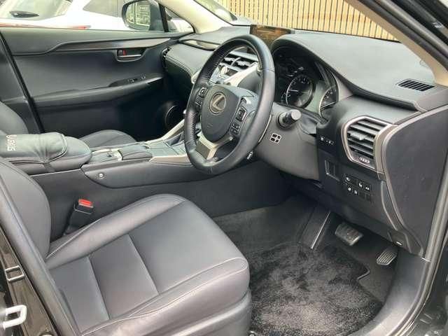 LEXUS NX300