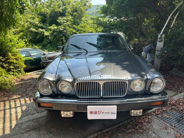 DAIMLER DAIMLER