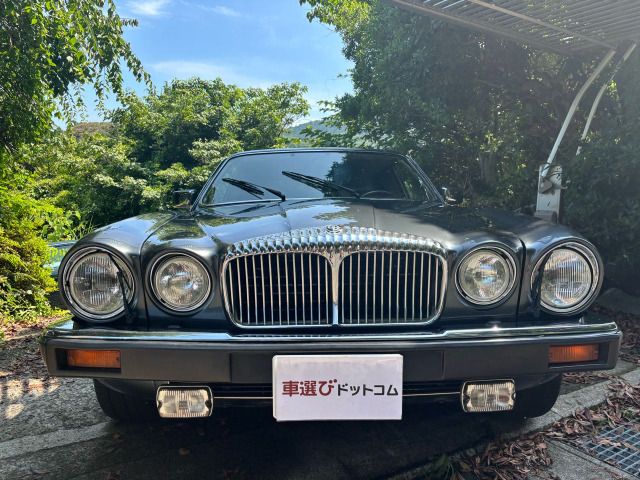 DAIMLER DAIMLER