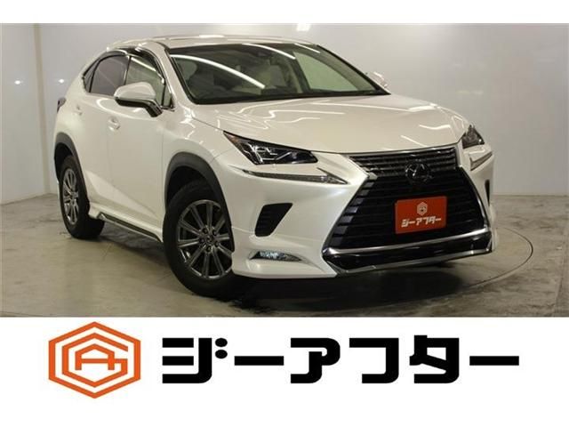 LEXUS NX300