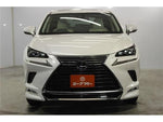 LEXUS NX300