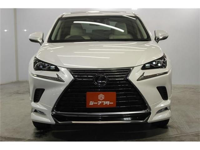 LEXUS NX300
