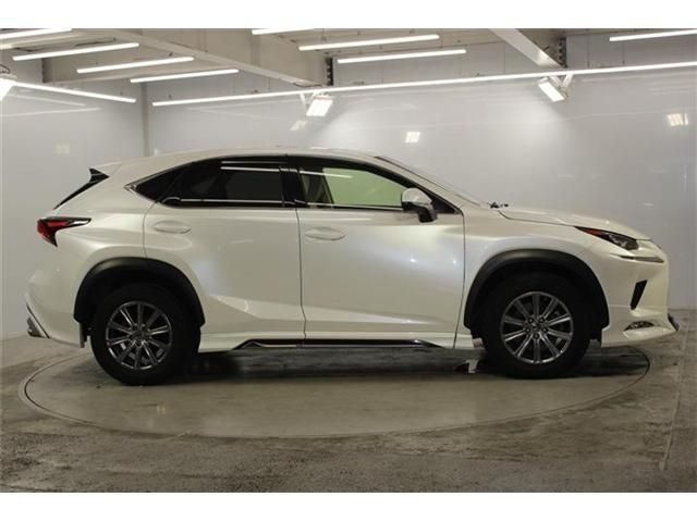 LEXUS NX300