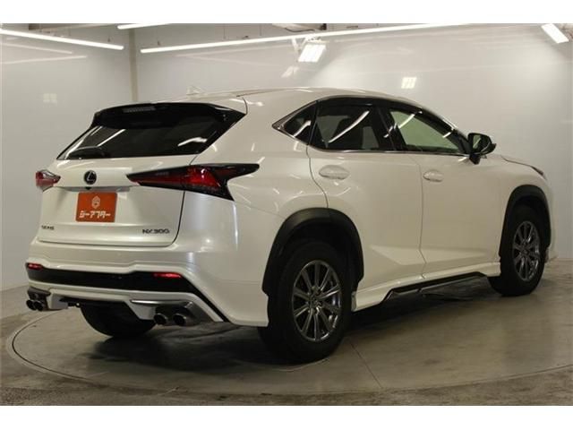 LEXUS NX300