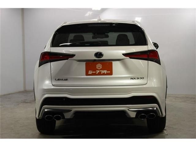 LEXUS NX300