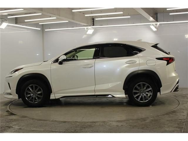 LEXUS NX300
