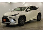 LEXUS NX300