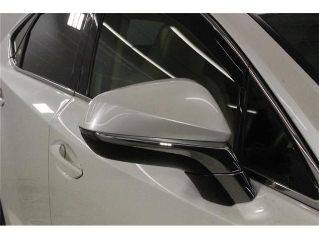 LEXUS NX300